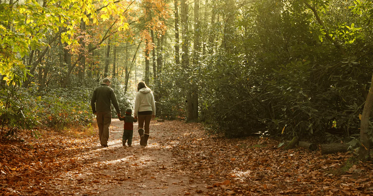 morning walk can boost your energy levels
